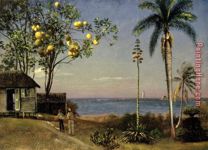 Albert Bierstadt Tropical Scene